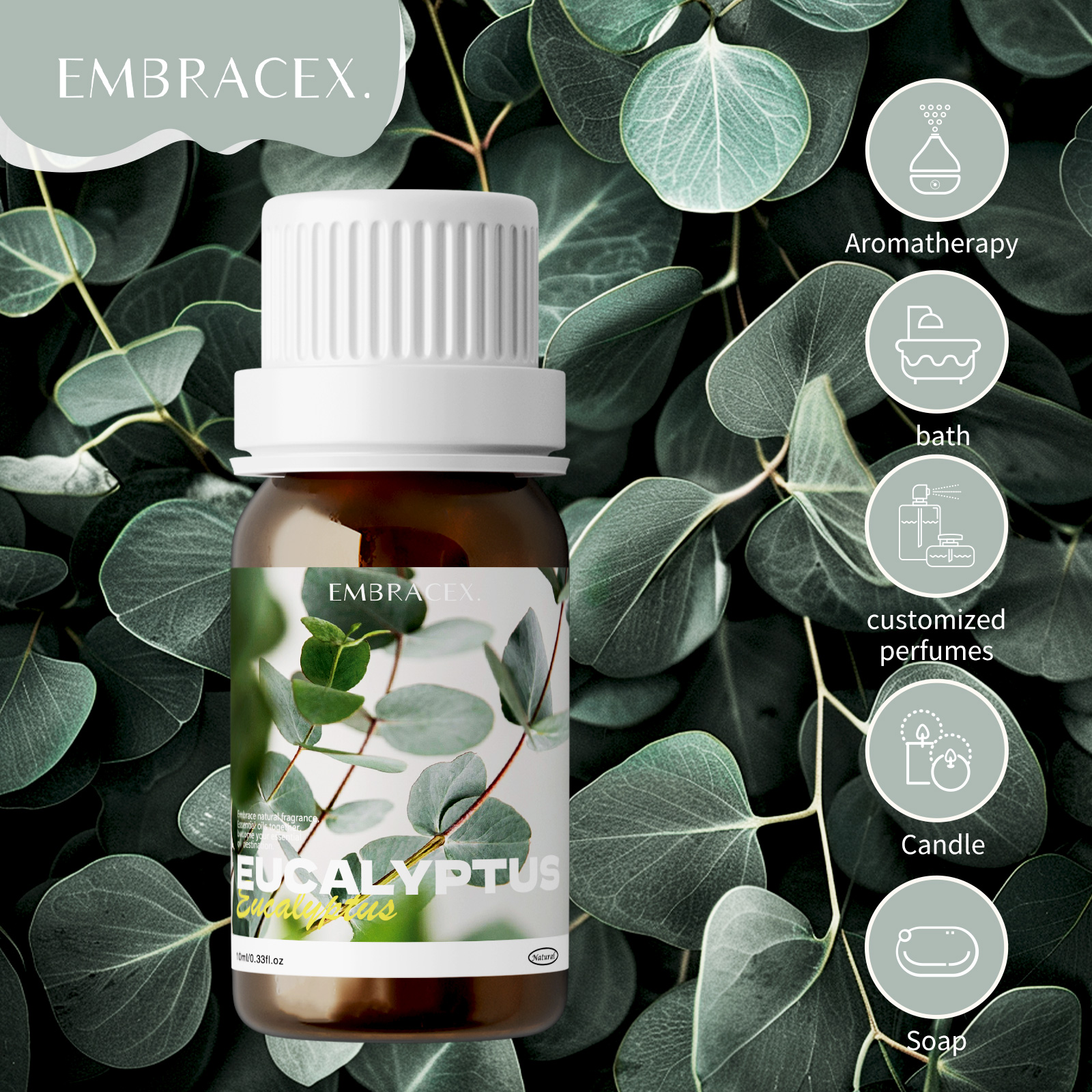 Home Fragrance Eucalyptus - Pure Eucalyptus Essential Oils|100% Natural Eucalyptus
