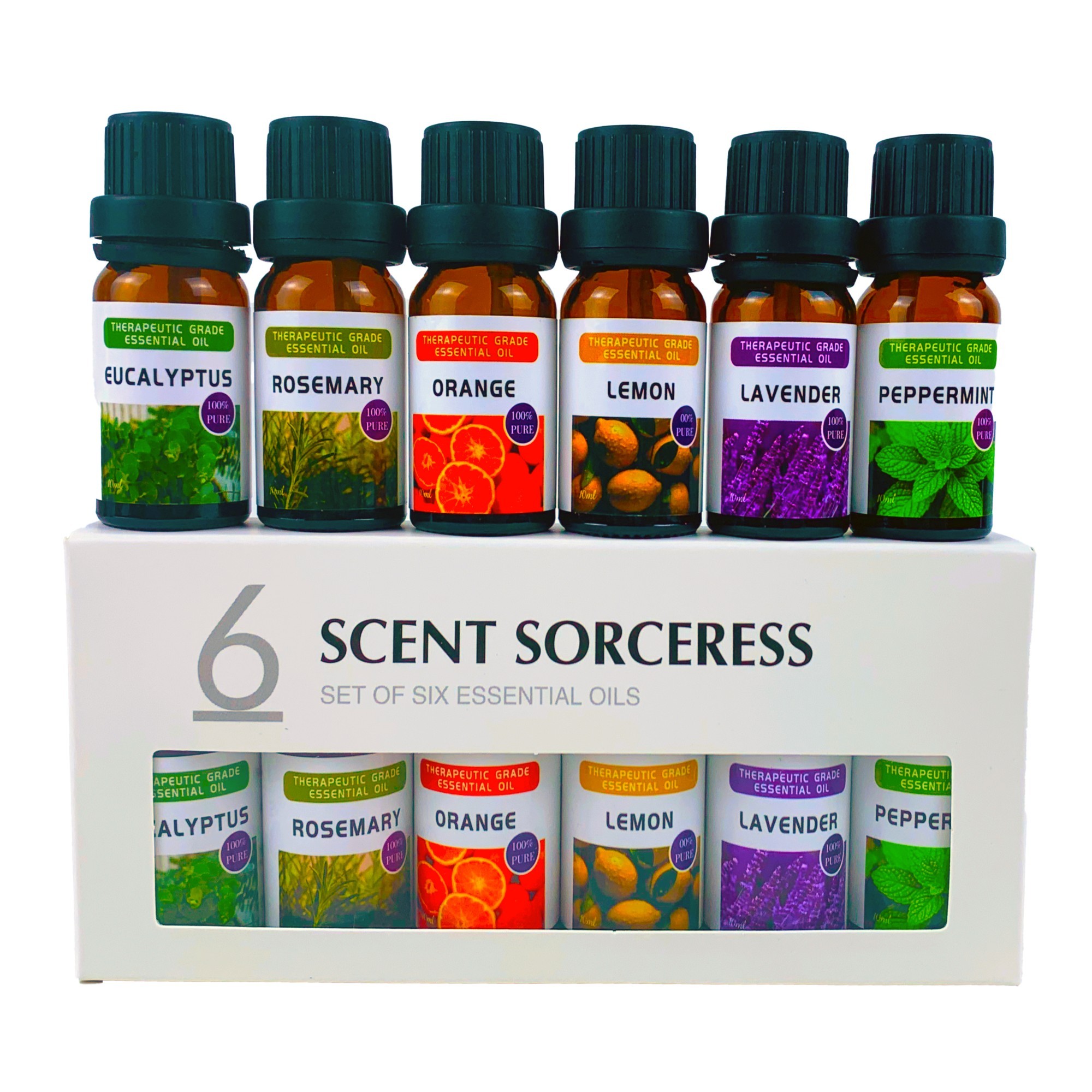 Home Fragrance Eucalyptus - 6Pcs/Set Pure Lemon Sweet Orange Eucalyptus