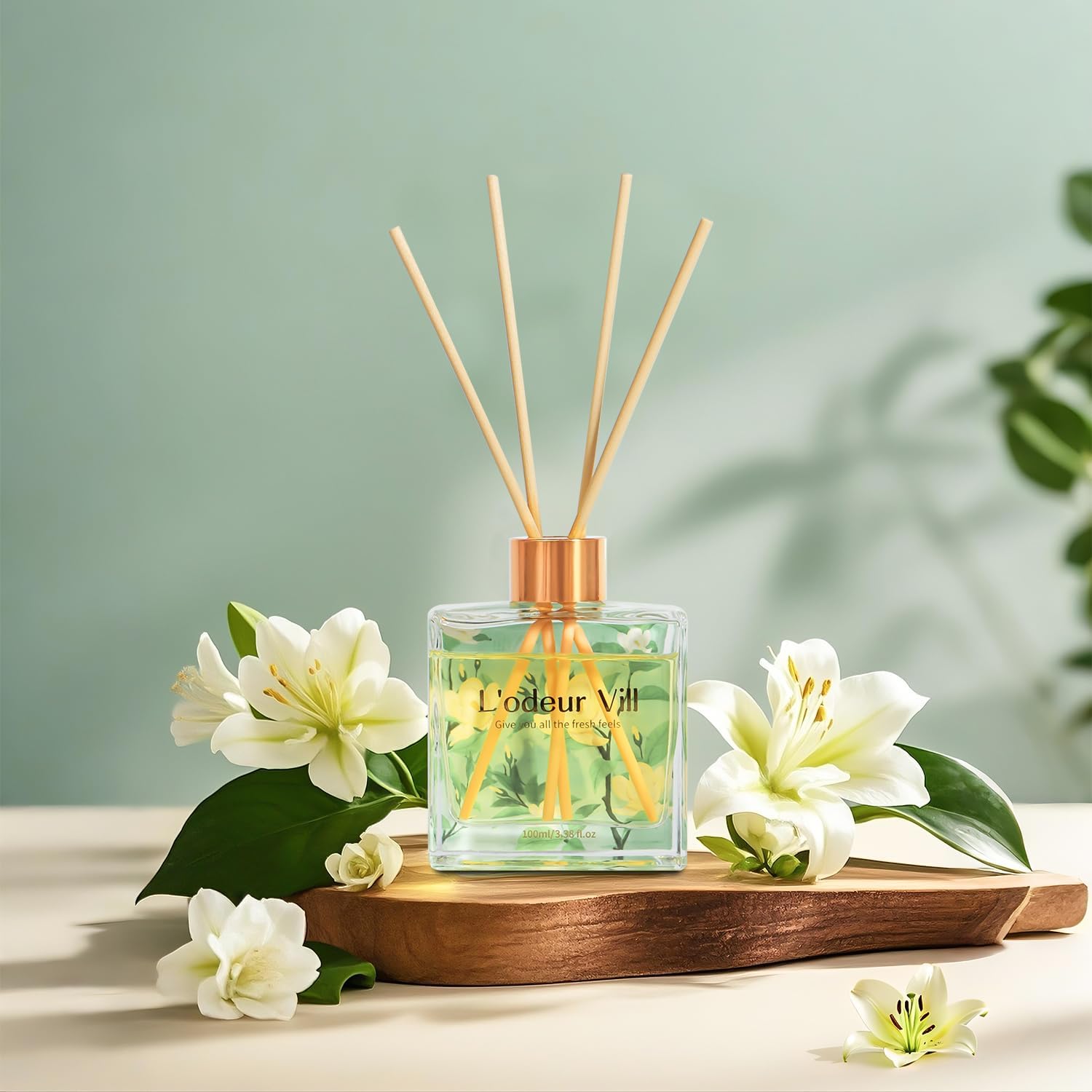 Jasmine Lily Reed Diffuser Set - Reed Diffuser Set ulasan dan harga