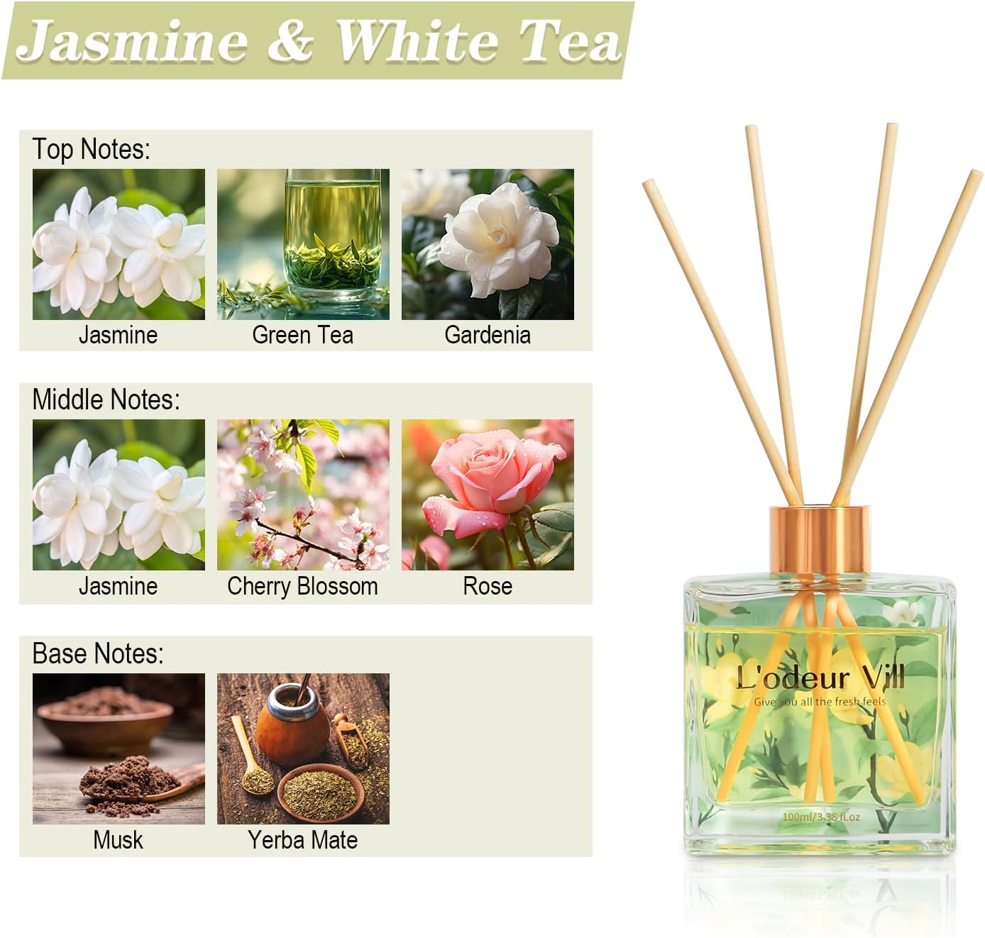 Jasmine Lily Reed Diffuser Set - Reed Diffuser Set ulasan dan harga