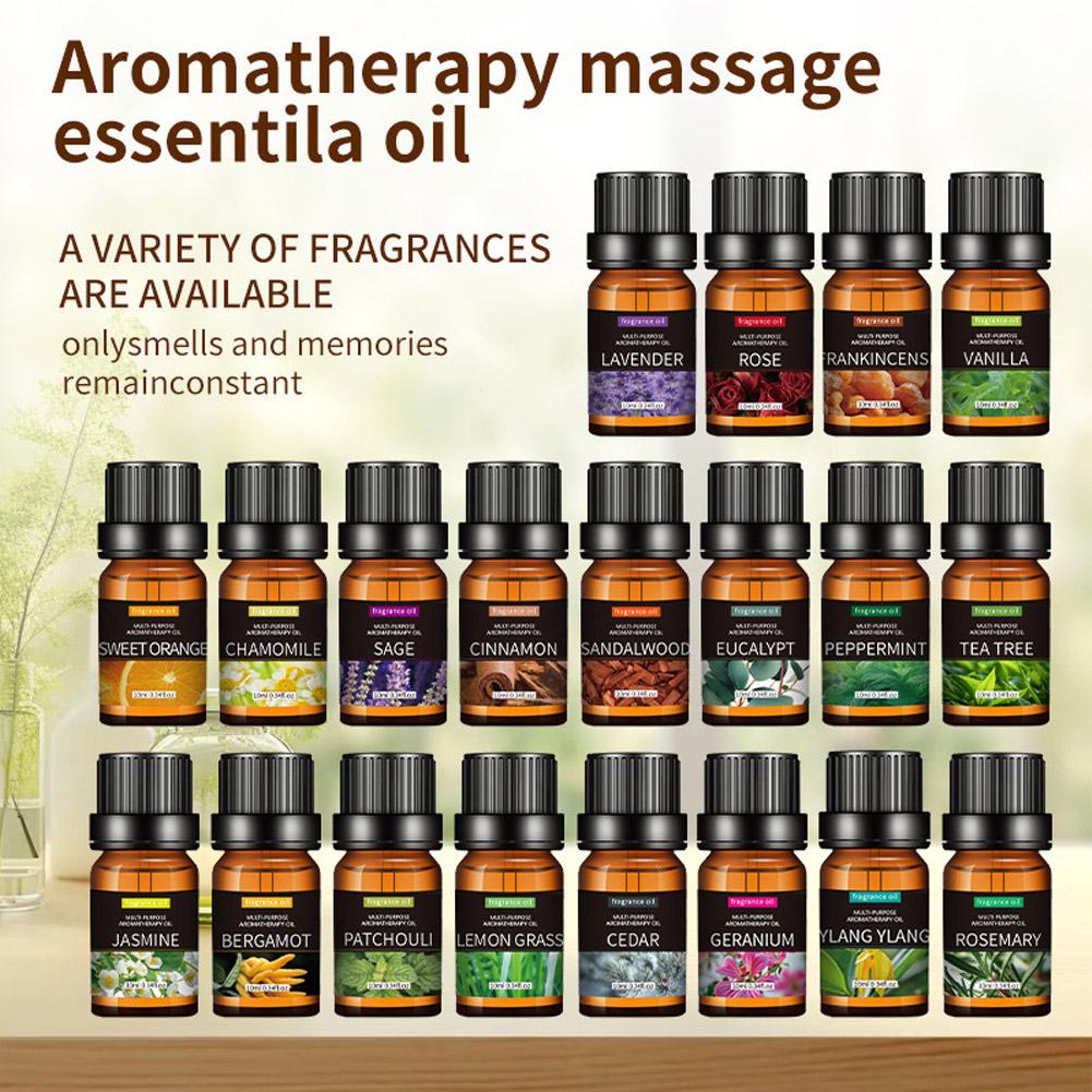10mL Aromatherapy Essential Oi - Home Fragrance Eucalyptus ulasan dan harga