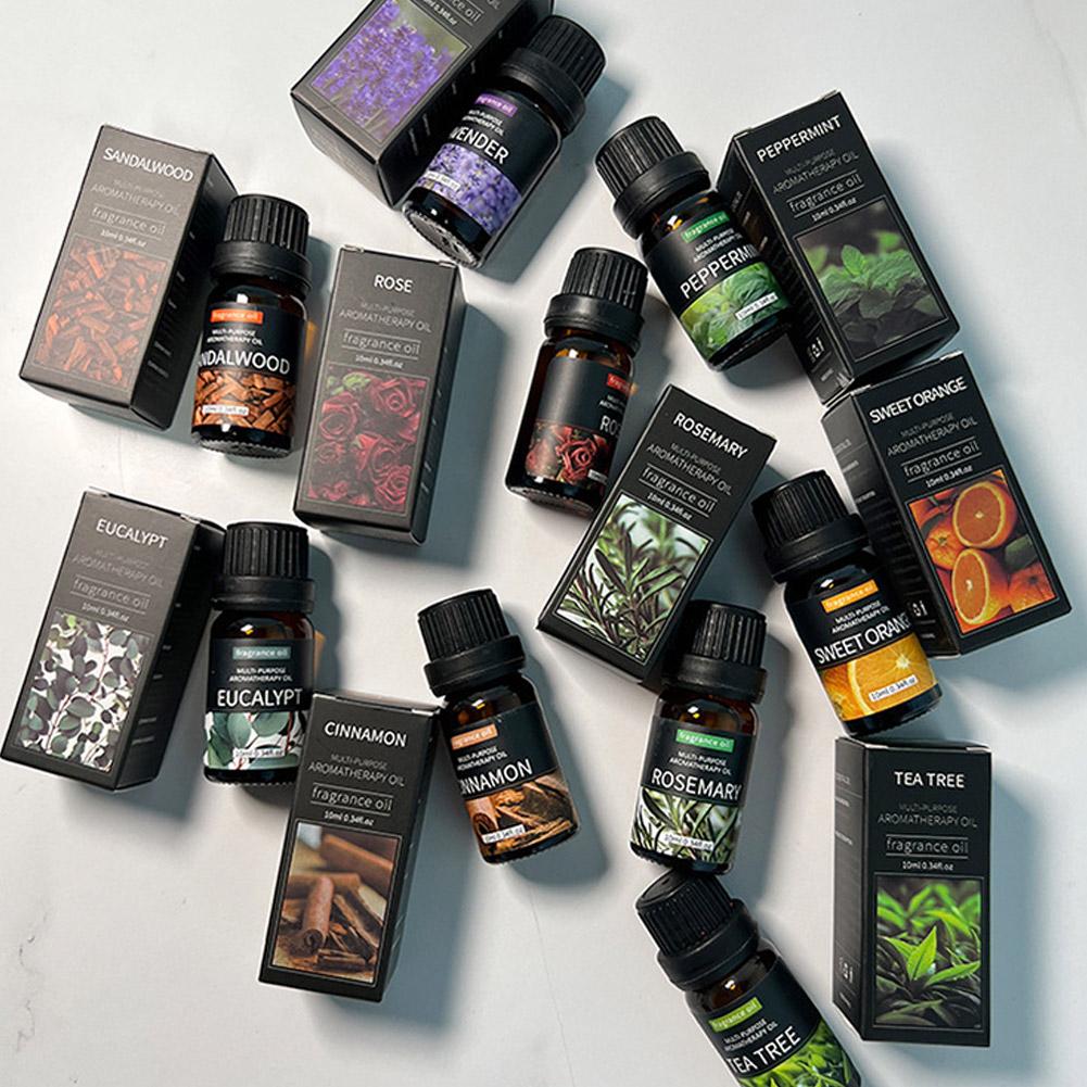 10mL Aromatherapy Essential Oi - Home Fragrance Eucalyptus ulasan dan harga