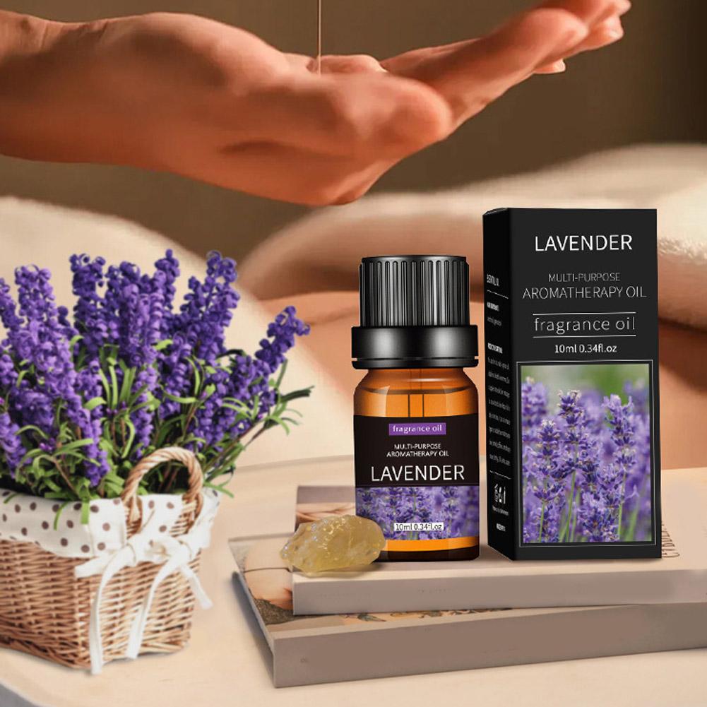 10mL Aromatherapy Essential Oi - Home Fragrance Eucalyptus ulasan dan harga