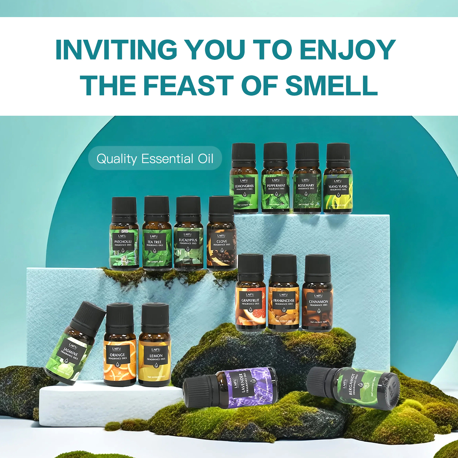 16x10ml Essential Oils Set for - Home Fragrance Perfume ulasan dan harga