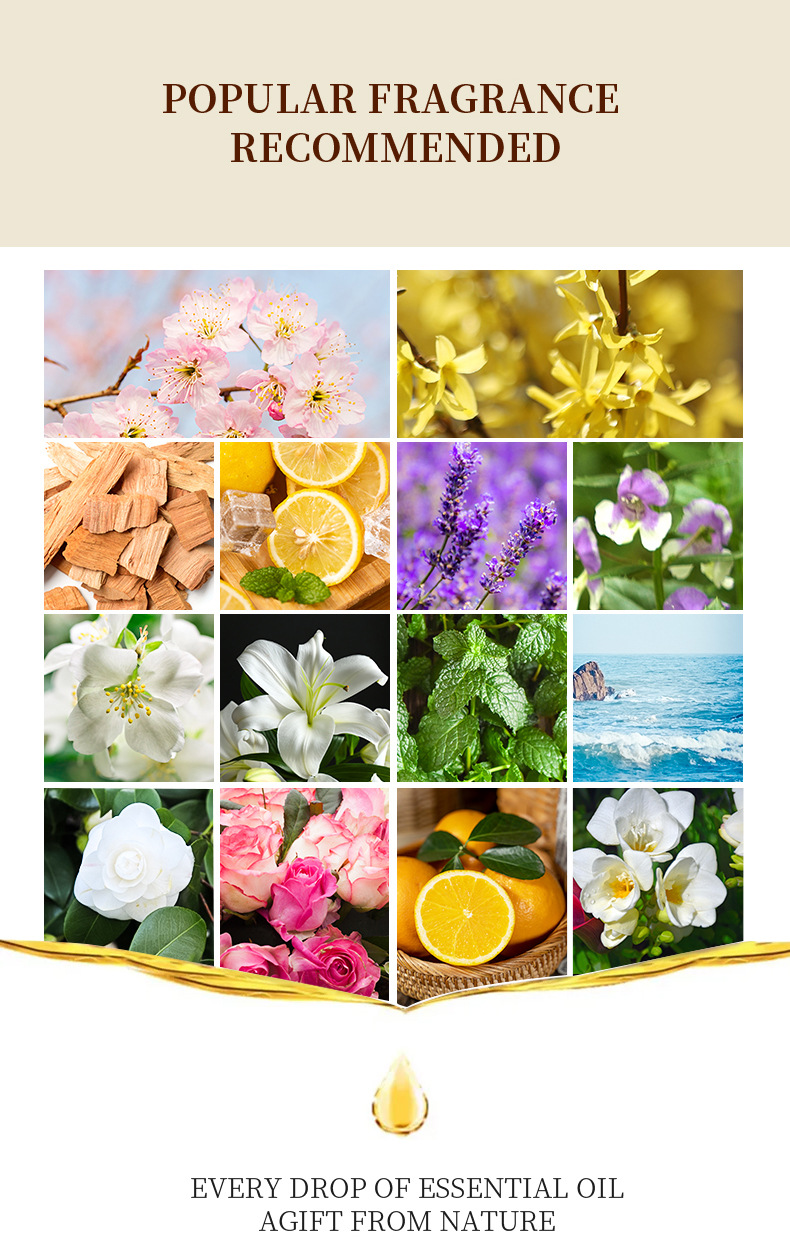 12 Flavors Set / Water-soluble - Reed Diffuser Set ulasan dan harga