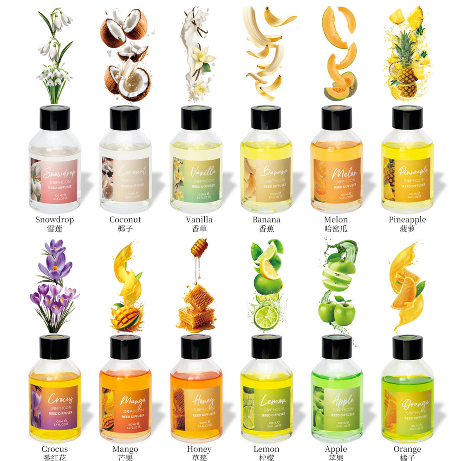100ml Floral Fruity Reed Diffu - Reed Diffuser Set ulasan dan harga